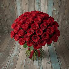 Букет 55 Красных роз Фридом #REPLACE_PRED# Ярково