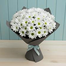 Букет цветов из:  Хризантемы #REPLACE_PRED# Ярково