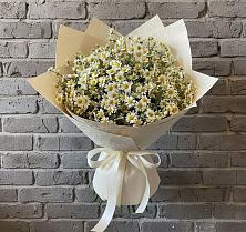 Букет цветов из:  Ромашки в Ярково