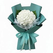 Букет цветов из:  Гортензия #REPLACE_PRED# Ярково